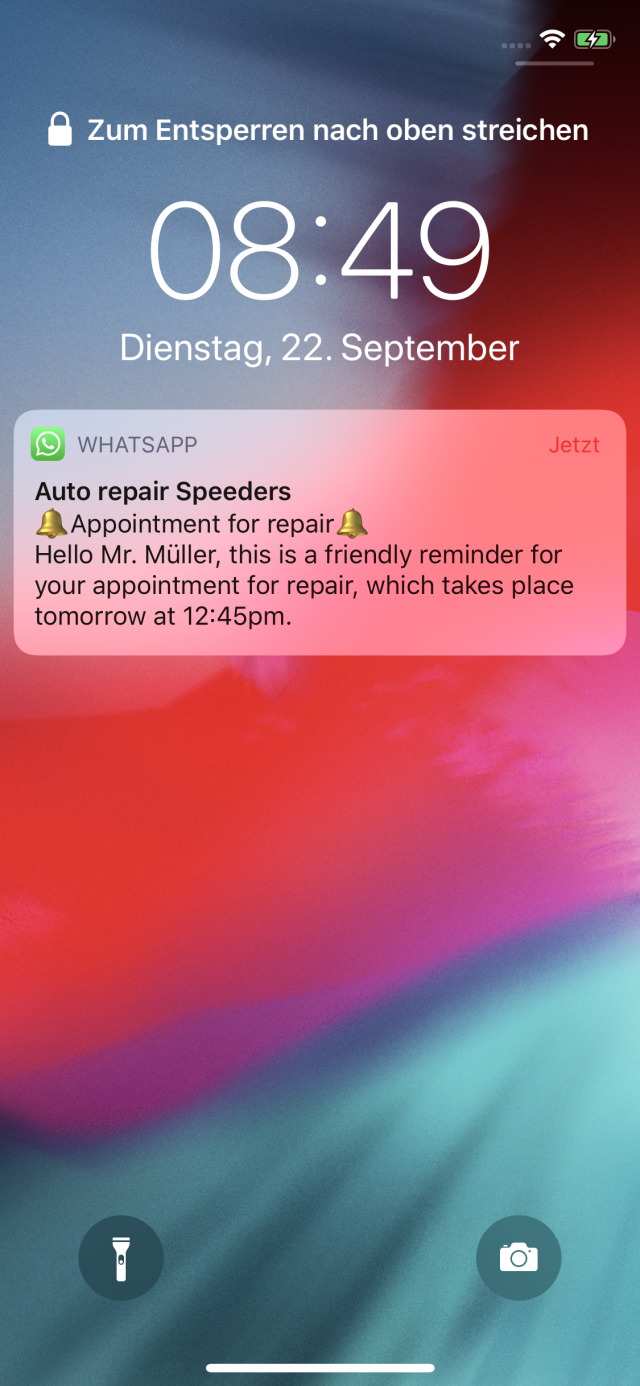 Auto Repair Speeders