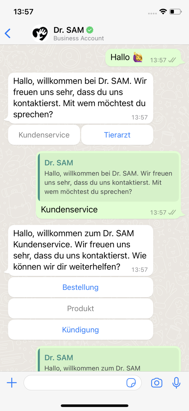 Dr. SAM WhatsApp Support Chatbot 1