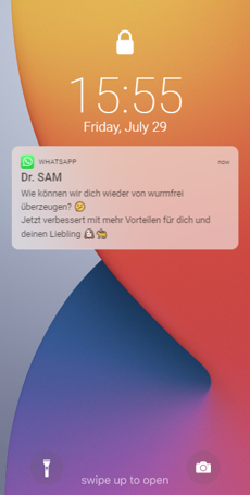 Dr. SAM WhatsApp Support Chatbot locked screen