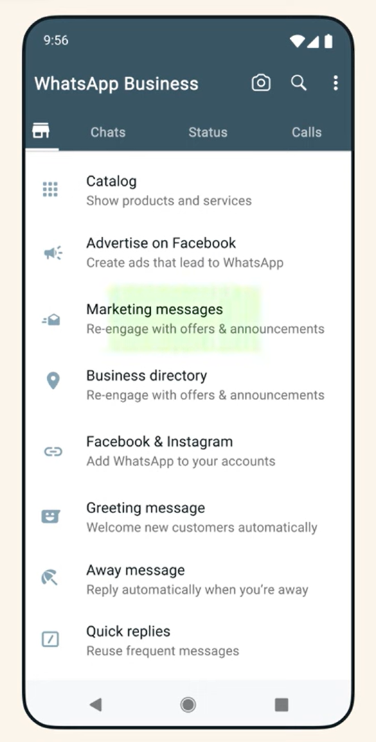 The marketing messages on the WhatsApp Business App
