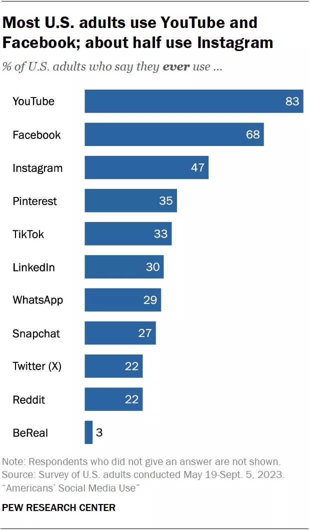 social media use USA 2024